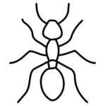 ants pest control icon