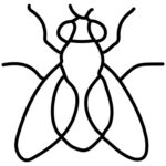 flies pest control icon