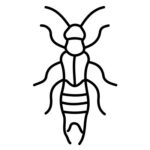 insect pest control icon