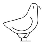 pidgeon pest control icon