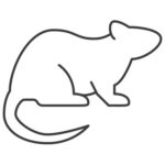 rat pest control icon